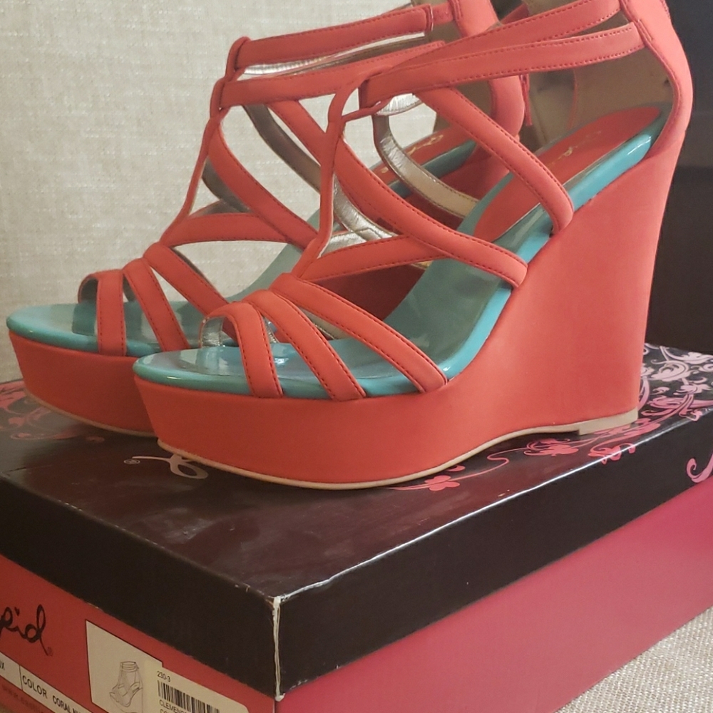 Coral wedges